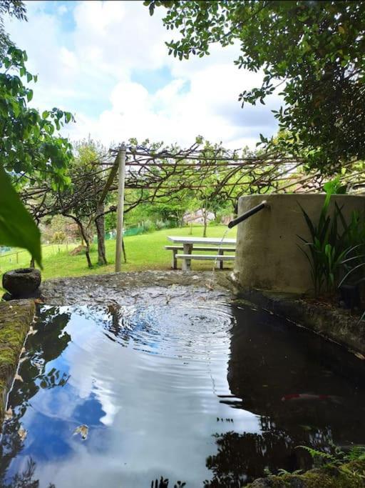 A Vina De Lina. Turismo Rural Con Piscina Y Finca. Pontevedra Exterior foto