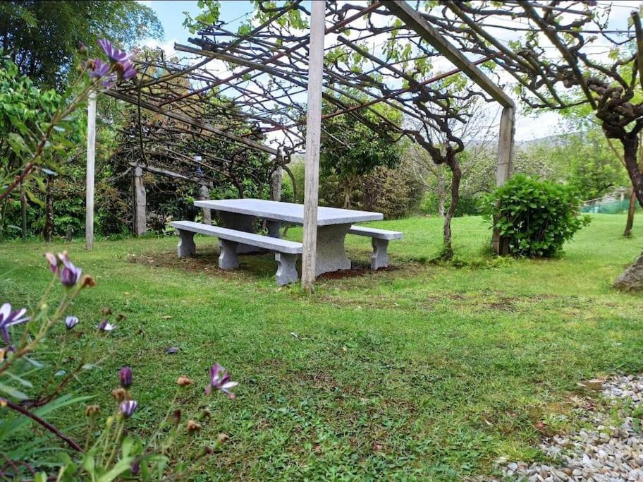 A Vina De Lina. Turismo Rural Con Piscina Y Finca. Pontevedra Exterior foto